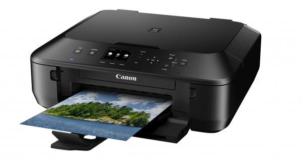 Canon Pixma MG5550 Ink Cartridges