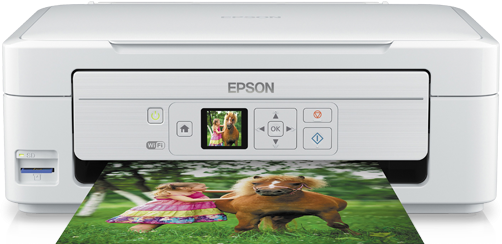 Epson  XP-325 Ink Cartridges