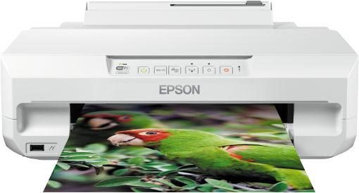 Epson  XP-55 Ink Cartridges