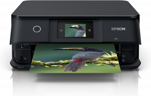 Epson  XP-8500 Ink Cartridges