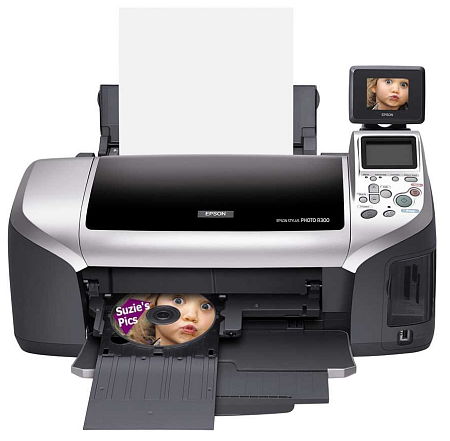 Epson  Stylus Photo R300M Ink Cartridges