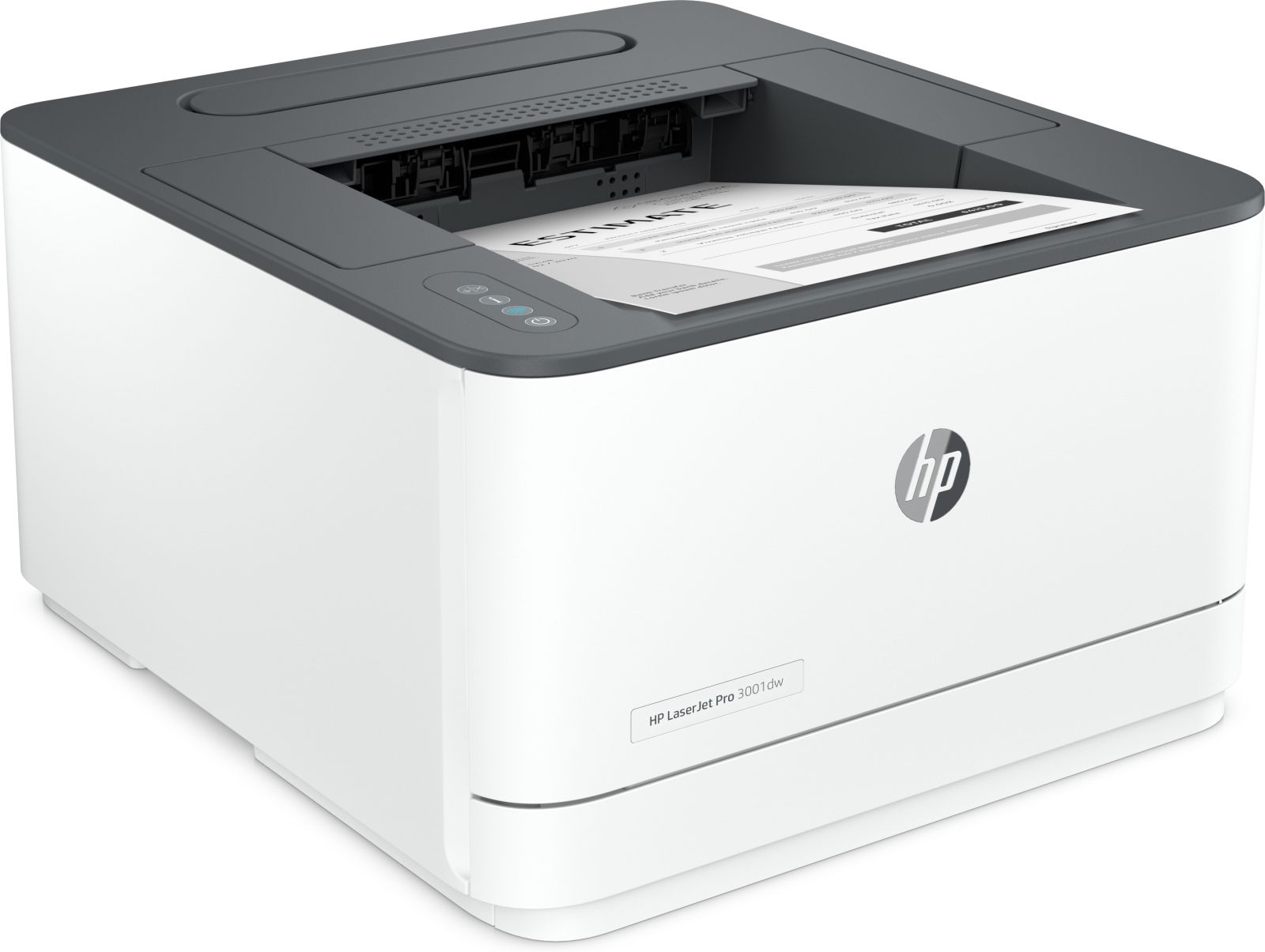 HP LaserJet Pro 3002dw Laser Printer