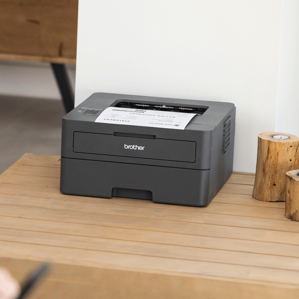 Brother HL-L2400DW Mono Laser Printer