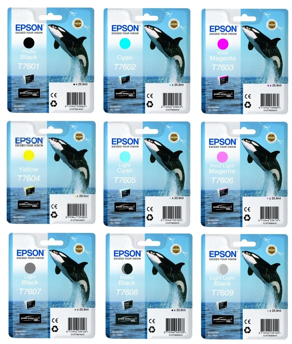 Epson T760 9 Colour Ink Cartridge Multipack (Killer Whale)