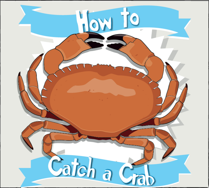 How To Catch A Crab | Outdoor Fun | Cartridgesave